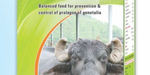 Gupt Balanced Cattle Feed