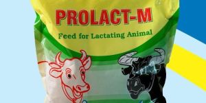 Prolact-M Lactating Cattle Feed