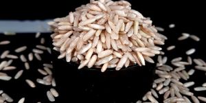 PR 14 Sella Non Basmati Rice