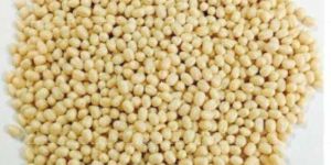 Whole White Urad Dal