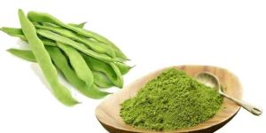 Dehydrated Green Beans Powder