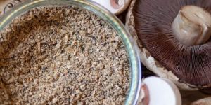 Dehydrated Mushroom Powder