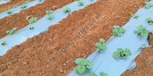 Mulching Film