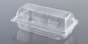 Cake PET Hinged Container