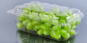 Plastic Rectangle Punnet Boxes