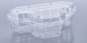 Plastic Triangle Punnet Boxes