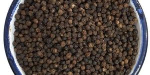 Black Pepper