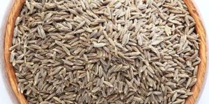 Cumin Seeds