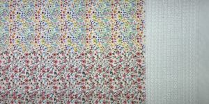 Schiffli Digital Printed Fabric