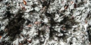 Indian Cotton Seed Hull