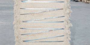 Indian Origin---Cotton Linter