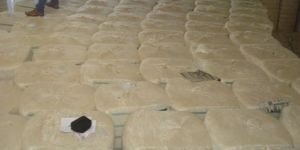 Indian Raw Cotton Shankar-6