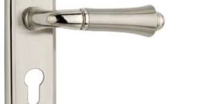 Royal Brass Mortise Handle