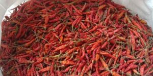 Birds Eye Red Chilli