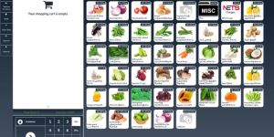 Online Billing Software