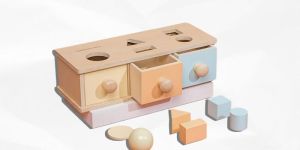 Shape Sorter with Bin