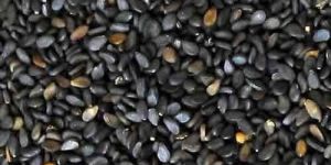 Black Sesame Seeds