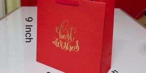 Fancy Paper Gift Bag