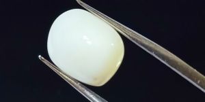 White Coral Gemstone