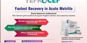 Tefrocef 1 G Injection