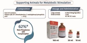 TONOPHOSPHAN INJ 10ML