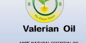 Valerian Oil