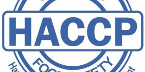 Haccp Certification Services