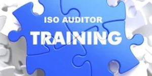 Lead Auditor Training Program
