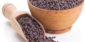 Brown Mustard Seeds