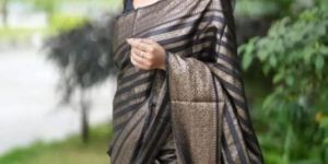 Banarasi Dyeable Warm Silk Saree