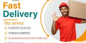 Domestic Courier