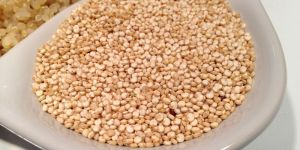Quinoa Seeds