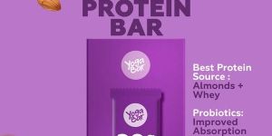 Chocolate Brownie Protein Bar