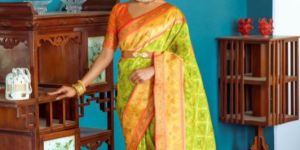 AF834 Green Zari Woven Patola Silk Banarasi Saree with Blouse