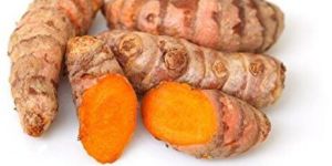 Turmeric Root