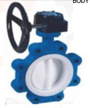 Wafer Lug Type Lined Gear Operated Butterfly Valve