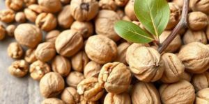Kashmir Walnuts