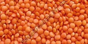 Red Masoor Dal