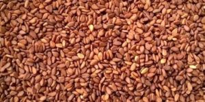 Brown Sesame Seeds