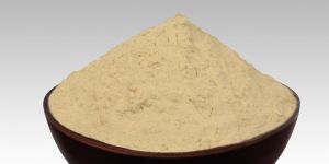 Dehydrated White Onion Powder
