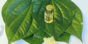 Organic Betel Leaf Oil