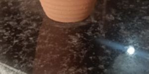 T3 120 Ml Terracotta Glass