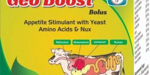 Appetite Stimulant Bolus