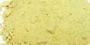 Yellow Shatavari Powder