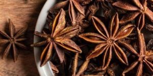 Organic Star Anise Seeds