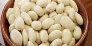 Organic White Beans
