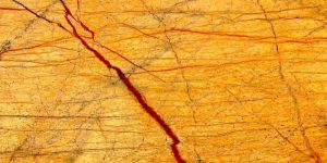 Indian Rainforest Gold Marble Slab