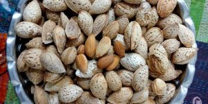 a Grade Shelled Almonds