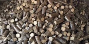 Bio Coal Briquettes