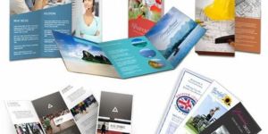 PVC Sticker Printing Service